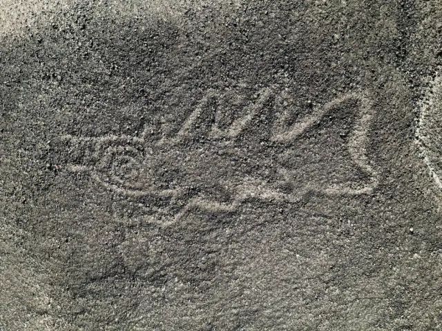 figura nazca